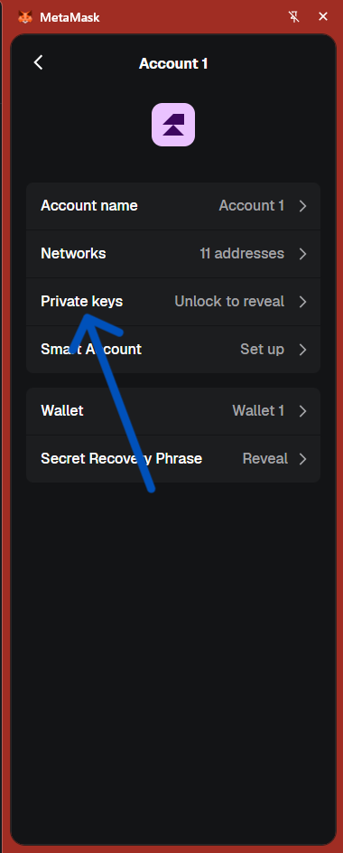 MetaMask Account details — click Private keys
