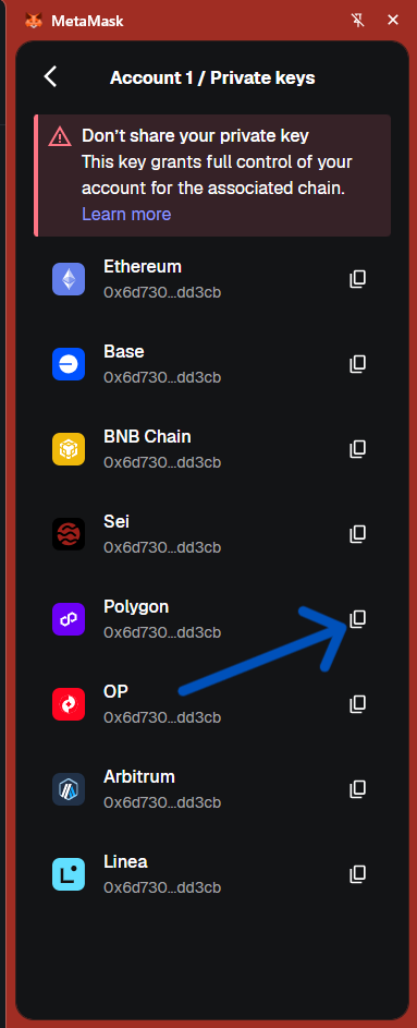 MetaMask Private keys — copy Polygon key