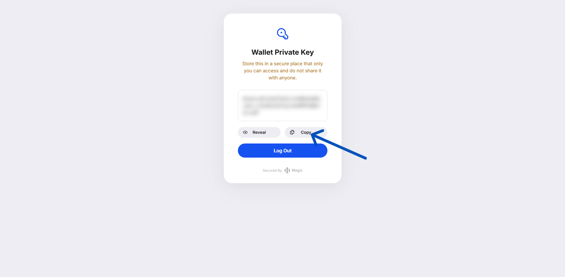 Wallet Private Key — click Copy